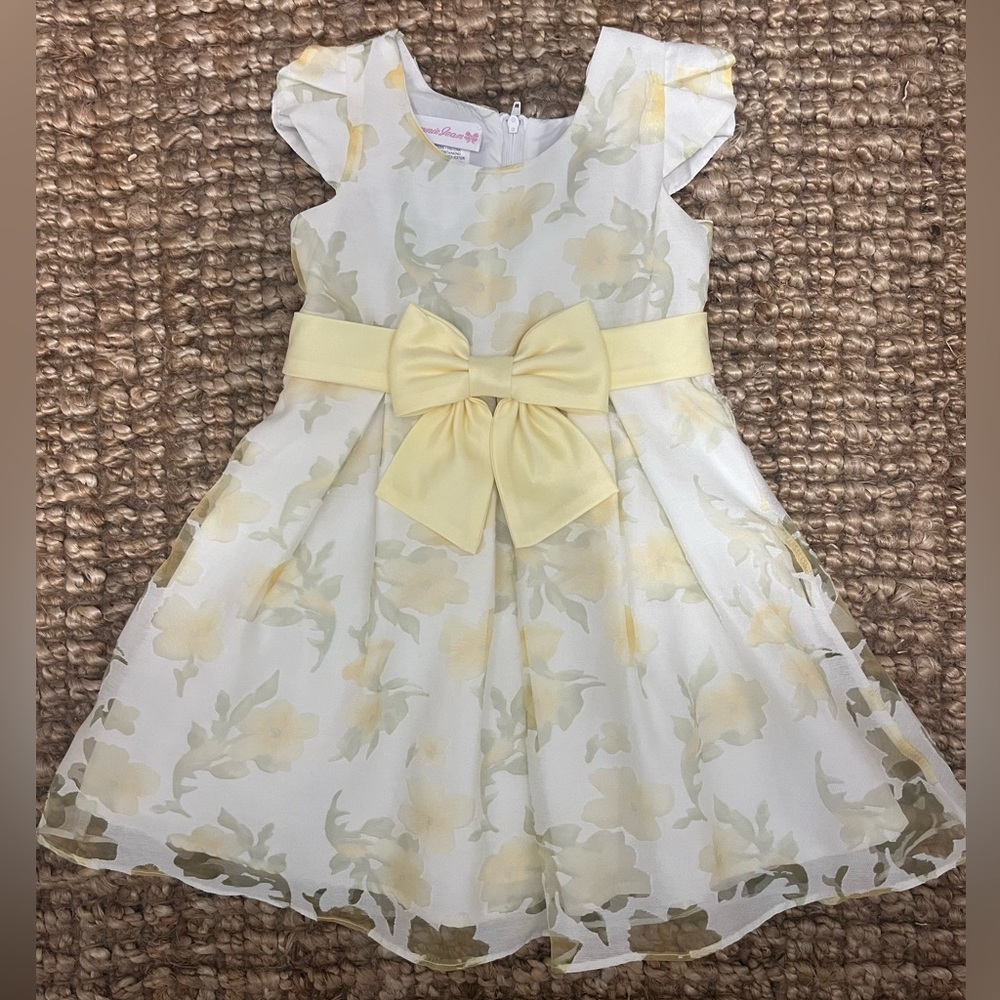 Bonnie Jean Toddler Girls Short Sleeve Flutter Sleeve A-Line Dress 3T